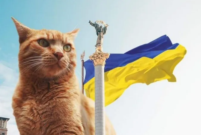 Головне у Луцьку: ТОП новин середи, 24 серпня