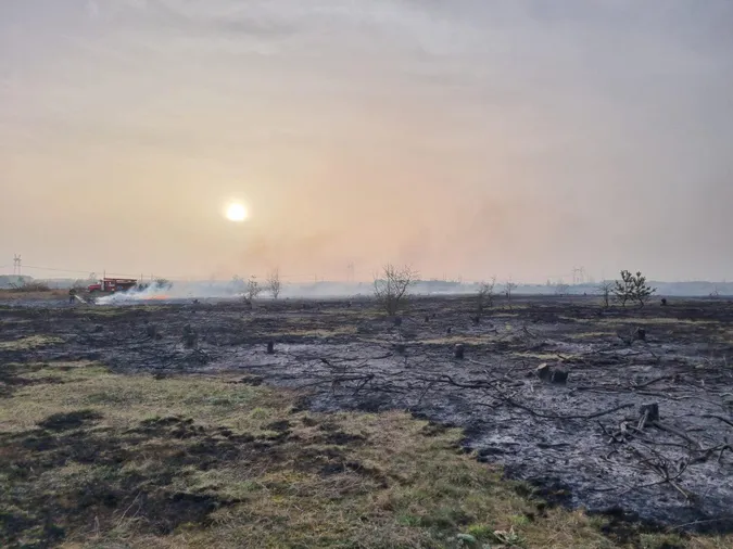 У Луцькому районі горіли півтора гектара сухостою (фото)