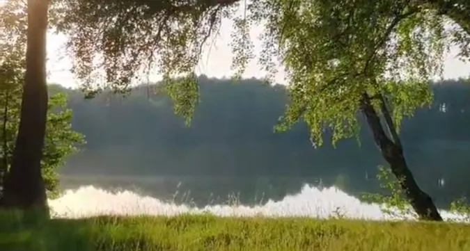 На Волині серед лісу заховалось озеро молодості (відео)