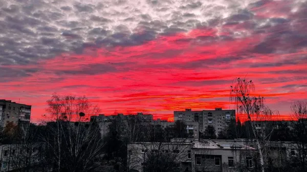 Головне в Луцьку за вихідні, 21-22 листопада