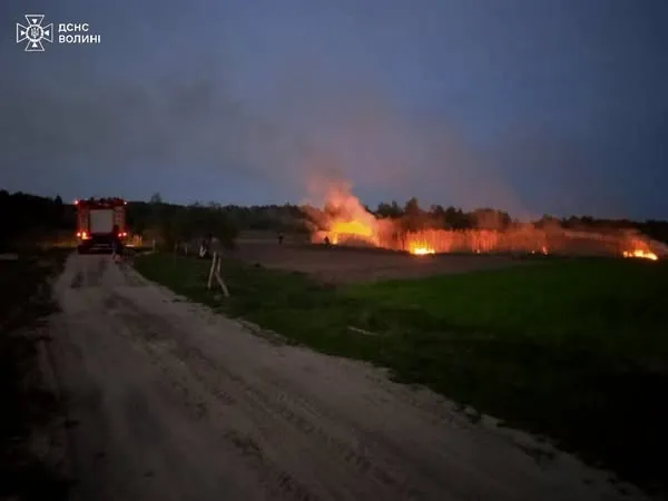 Суха трава, чагарники та очерет: на Волині вигоріли понад 2,5 га угідь (фото)
