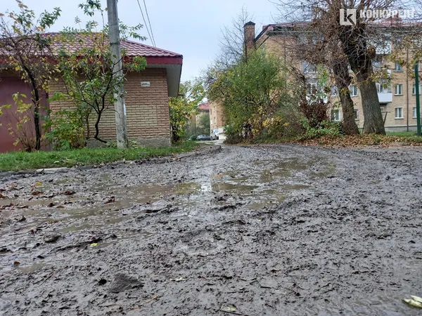 Калюжа у луцькому дворі: швидка не може доїхати до будинку (фото)
