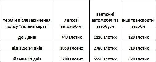 Штрафи за порушення правил дорожнього руху в Польщі (інфографіка)