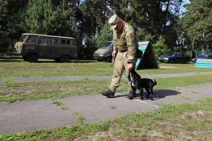 Пройшов гарячі точки, а тепер підкорює кінологію: історія прикордонника з Волині Богдана та Вулі (фото)