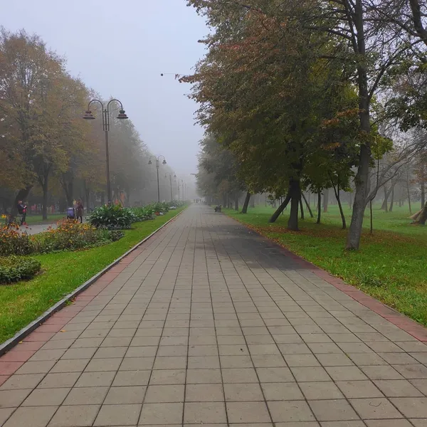 Добре добро: лучанин годує і фотографує білочок у парку (фото)