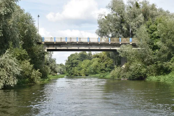 У Луцьку Стир чистять від повалених дерев (фото, відео)