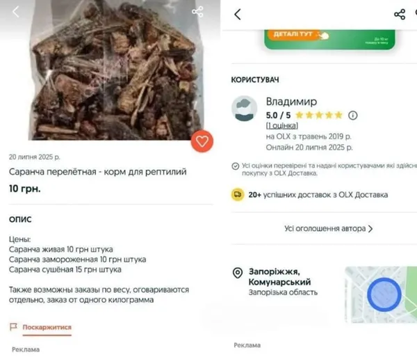 Свіжа, сушена, морожена: українці продають сарану в інтернеті (фото, відео)