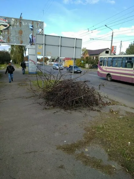 Лучан каратимуть за гілля та будівельні відходи у сміттєвих контейнерах (фото)