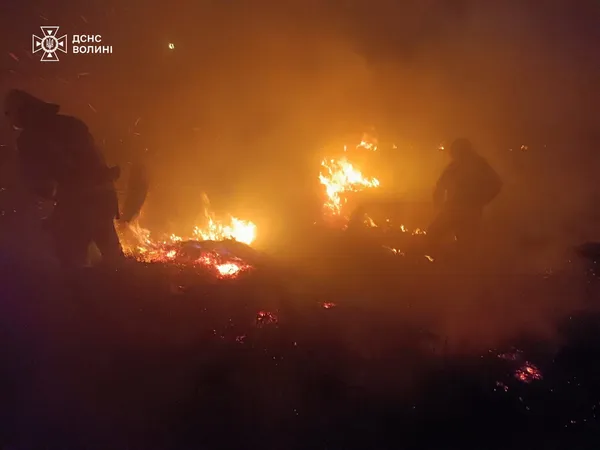Горіли суха трава, чагарники та очерет: на Волині вогонь знищив близько 5 гектарів землі (фото)