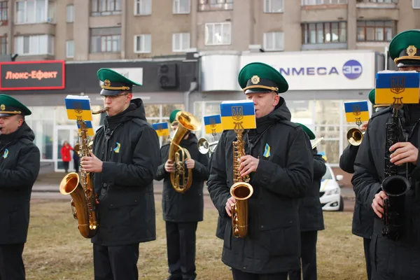 Прапори та сотні людей: як у Луцьку святкували День єднання (фото, відео)
