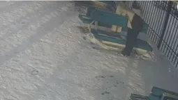 У Луцьку оштрафували жінку, яка пропонувала роботу на зупинці (відео)