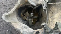 В домашнього тирана і в п'яного скутериста: у волинян знайшли гранати Ф-1 із запалами (фото)