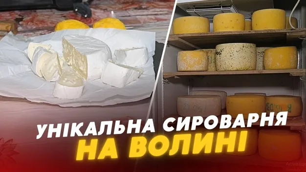 Варить аж 15 видів сиру: волинянка відкрила у рідному селі крафтову сироварню (відео)