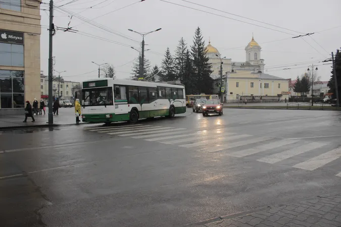 Ожеледиця у Луцьку: місто ледь тримається на ногах (фото)