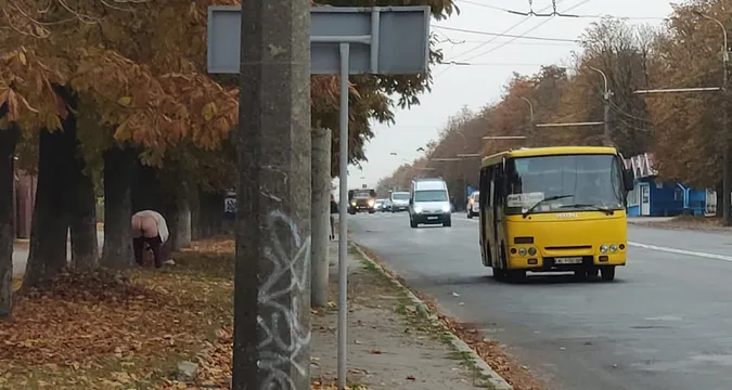У Луцьку жінка «окропила» дерево посеред вулиці (фото 18+)