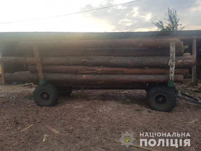 У волинянина знайшли причіп, повний деревини без документів (фото)