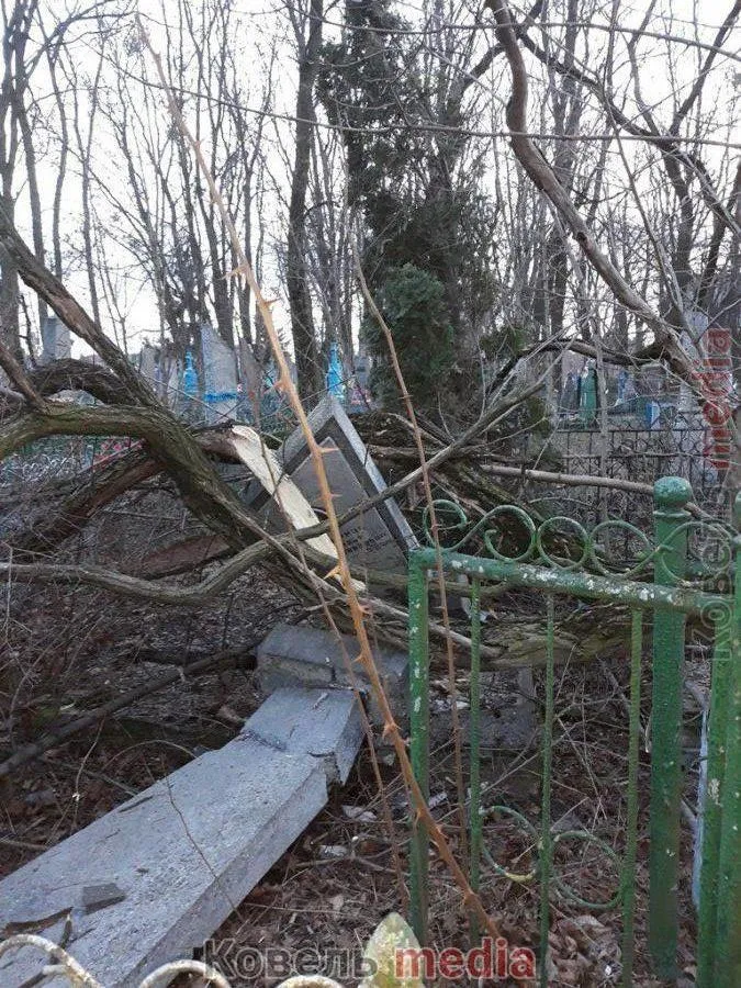 Пам’ятники розбиті: у Ковелі на кладовищі вітер повиривав дерева з корінням (фото, відео)