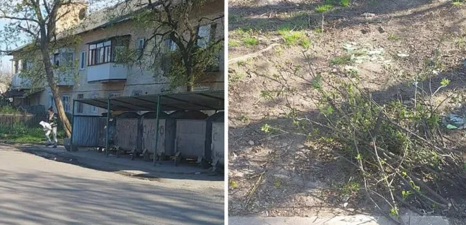 Викинула гілля: у Луцьку муніципали зловили «рідкісну пташку» (фото)
