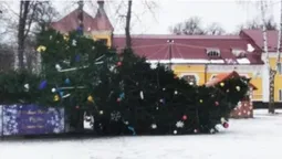 На Хмельниччині вітер зніс головну міську ялинку (фото)