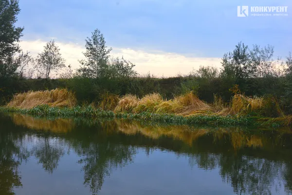 Осінь у луцькому парку: тиша і сплеск кольорів (ФОТО)