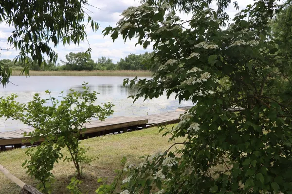 Човни на суші та оголене дно: показали, як обміліла Прип'ять у Сваловичах (фото, відео)