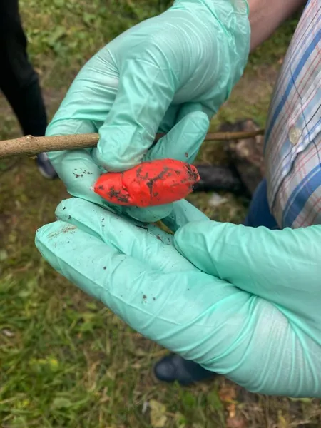 У Луцьку затримали 21-річного приїжджого «закладника» (фото)