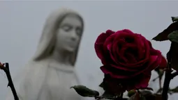 Лячно, кольорово, тихо: осінь у парку 900-річчя Луцька (ФОТО)