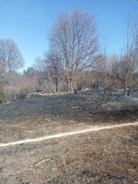 Лісівники Волині допомагають гасити пожежі на території громад (фото)