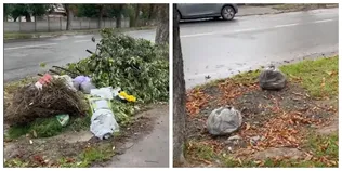 Сміття просто на вулиці: у Луцьку скаржаться на стихійні звалища (відео)