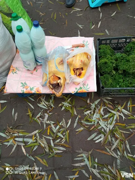 Кури, півні, індики, качки: скільки коштує домашня птиця на ринку в Луцьку (фото)