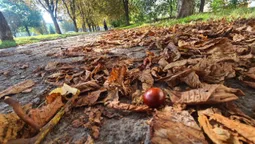 Луцьк у вихідний під теплим осіннім небом (фото)