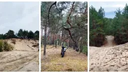 Серед лісу – справжні дюни: на Поліссі причаїлися 4 піщані гори, про які мало хто знає (відео)