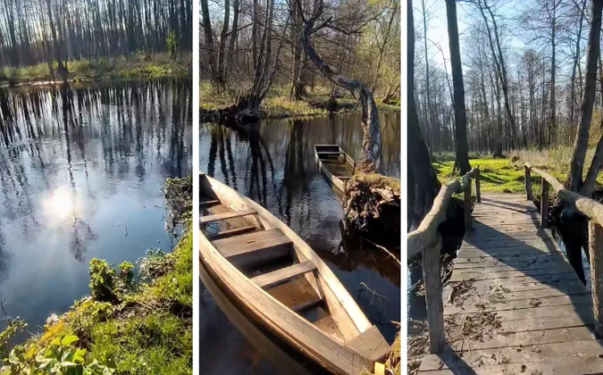 Дорога в один кінець: серед лісу на Волині знайшли таємне місце відпочинку з човнами і містками через річку (відео)
