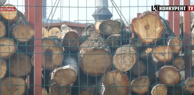 «Нічого не росте, діти кашляють»: у Рожищі люди потерпають від підприємства (відео)