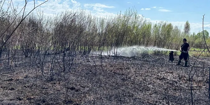 Масштабна пожежа у Луцькому районі: горить майже три гектари торфовища (фото)