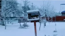 Волинь засипало снігом (відео)