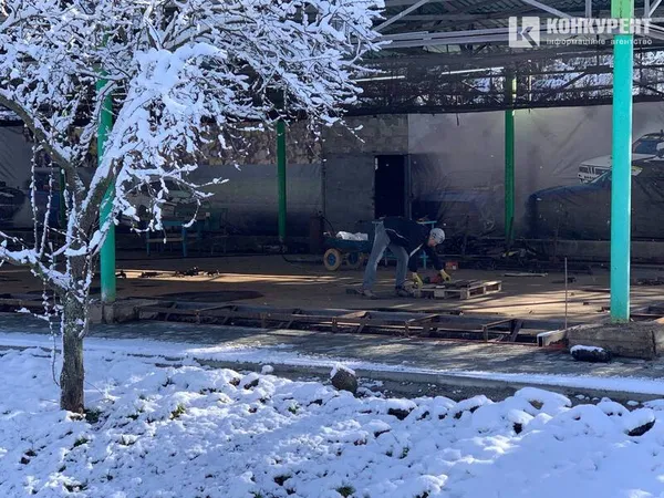 Вона чекає на вас морозного ранку у Луцькому парку (фото)