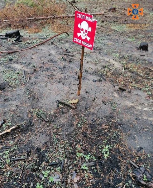 Волинські сапери показали свою «здобич» на Донеччині (фото)