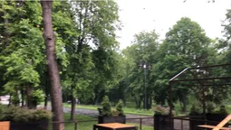 Центральний парк Луцька закидало градом (відео)