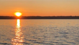 Показали, який вигляд взимку має Світле море на Волині (фото)