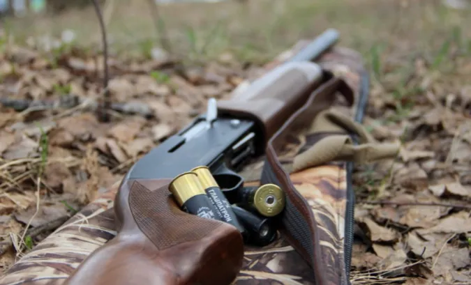 На Волині під кордоном з білоруссю будуть стріляти тварин