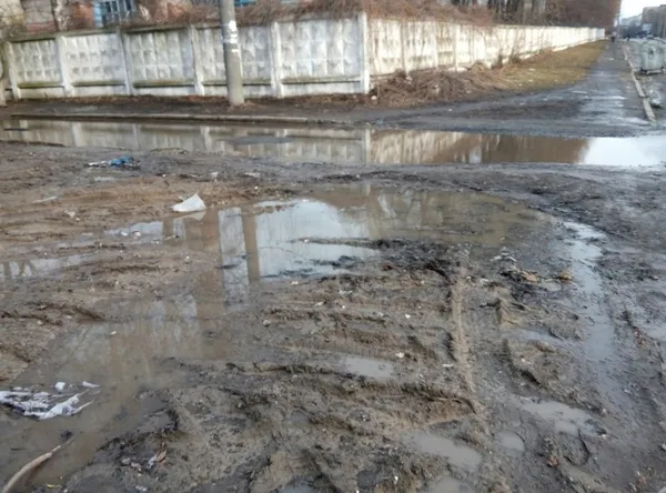 Лучани нарікають на непрохідне болото на Даньшина (фото)