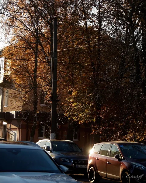 У мережі показали красу осіннього міста на Волині (фото)
