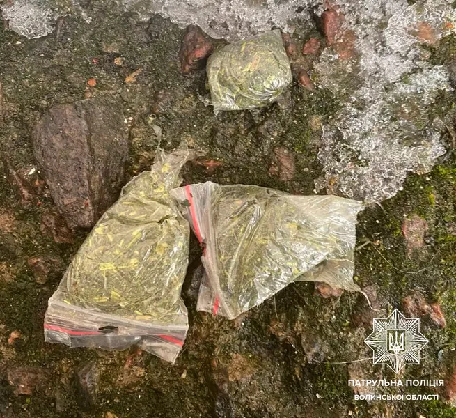 Поліцейські у Луцьку зловили двох людей з наркотиками (фото)
