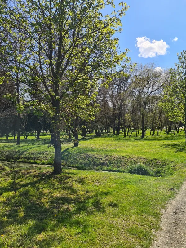 Весняний Луцьк: показали фото заквітчаного міста