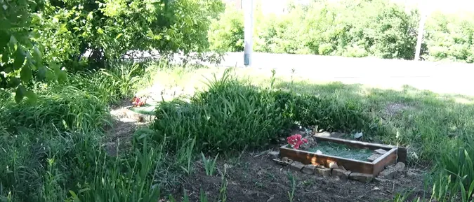 Як у Луцьку легально поховати тварину