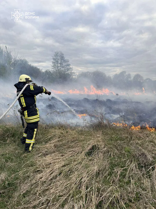 Біля Луцька на місці пожежі зловили палія (фото)