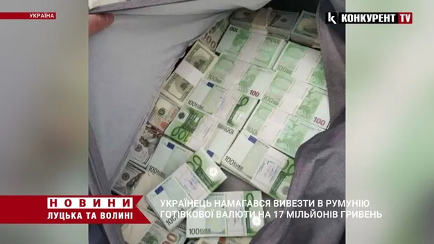 Громадянин України намагався вивезти в Румунію готівкової валюти на 17 млн грн, – Держмитслужба (фото, відео)