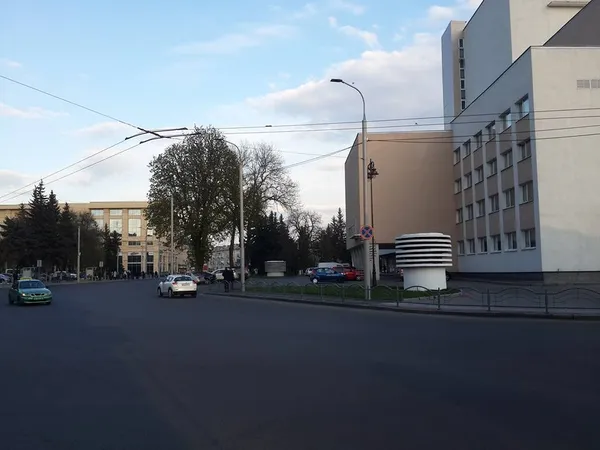 Лучанин пояснив, як водії авто можуть «успішно» паркуватися в центрі міста (фото)