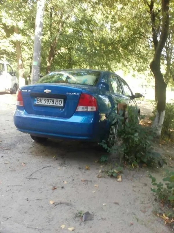 Автівки на газонах: у Луцьку ловили порушників (фото)
